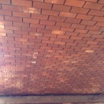 The first vaulted ceiling seen from below