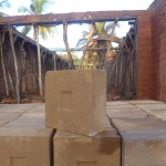 Mud bricks for the vaulted ceiling
