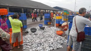 The bustling Malpe fish market