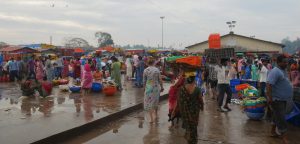 The bustling Malpe fish market