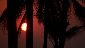 Fantastic sunsets almost every day